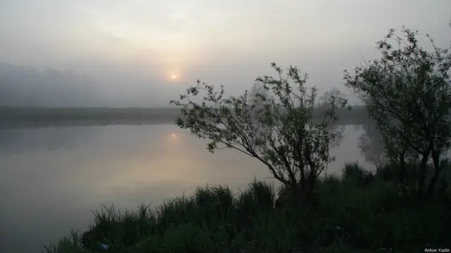 туман над рекой