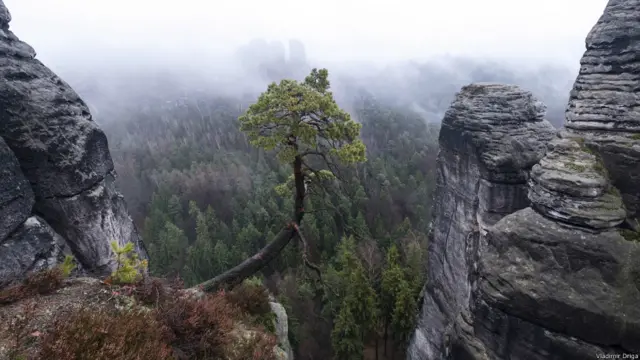 Туман в Сасонской Швейцарии в горах