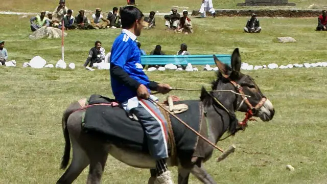 بھارت میں گدھوں کا استعمال کثرت سے ہوتا ہے