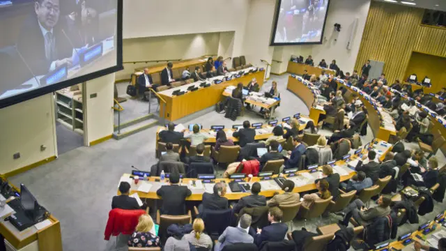 Kuba, Iran, dan Suriah termasuk negara-negara yang menentang usulan itu. 