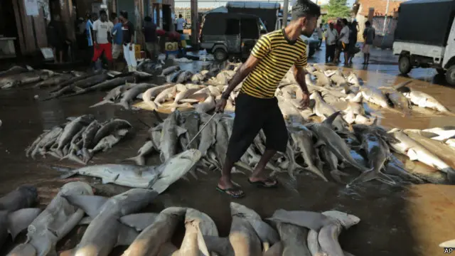 Praktek pencurian ikan dalam skala besar merugikan nelayan kecil.