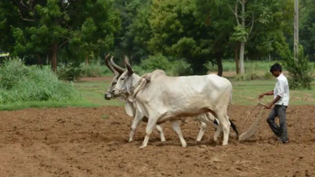 قال وزير بريطاني إن الدول المتقدمة عليها أن تساعد الدول النامية في مكافحة تغير المناخ