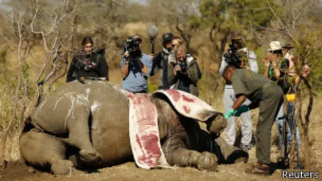 ၄ နှစ်အတွင်း ကြံ့ မွေးဖွားနှုန်းထက် သေနှုန်းက ပိုများလာဖွယ် ရှိဟုဆို