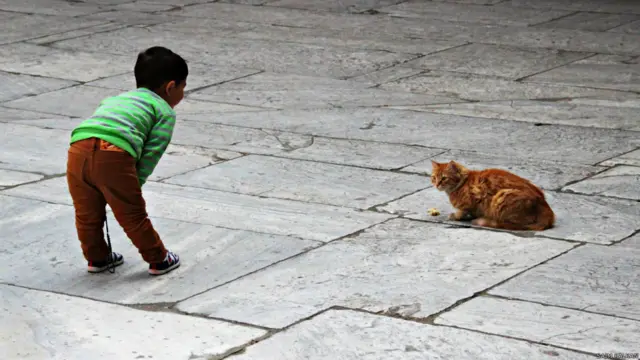 Saim Kalkan'dan bir kare daha, bu kez Eminönü Yenicami avlusundan: Çocuğun meraklı bakışları arasında bulduğu yemeği yemeye çalışan sokak kedisi.