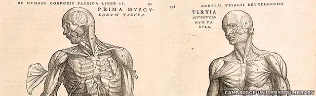 Imagen cortesía de Cambridge University Library del libro de Andreas Vesalius