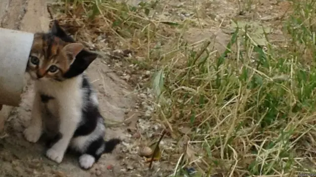 Sedat Taş: İzmir'de yalnızlık böyle paylaşılır...