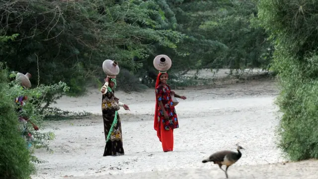 اس پروجیکٹ کو علاقے کے لیے ہریالی اور امید کی کرن کے طور پر دیکھا جا رہا ہے