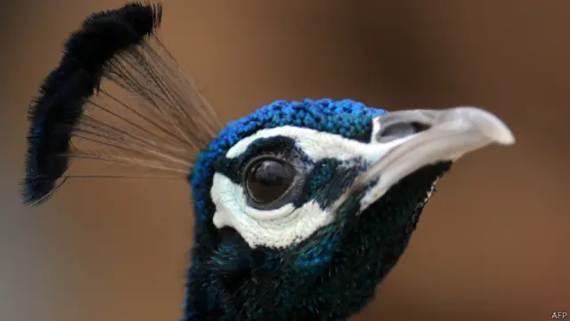 سندھ قدرتی وسائل سے مالامال صوبہ کہلاتا ہے