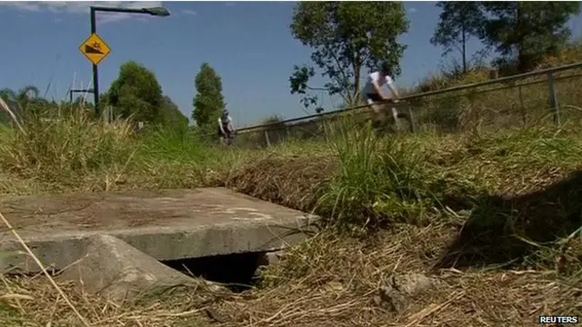 دغه کوچنی د سایکل ځغلوونکو لخوا په داسې حالت کې موندل شوی، چې دوی په لومړي سر کې فکر کړی و، چې ګواکې د ځمکې لاندې له لښتي نه د پیشو د بچي چیغې راځي