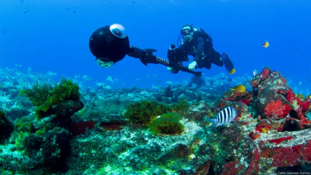 साभारः कैटलिन सी व्यू सर्वे