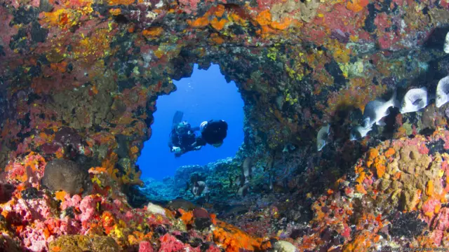 साभारः कैटलिन सी व्यू सर्वे