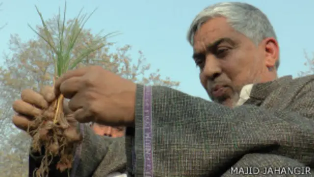 कश्मीर का एक केसर उत्पादक किसान.