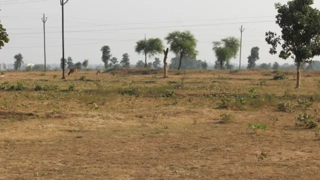 झारखंड में सूखा