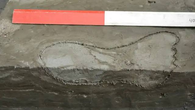 відбитки ніг