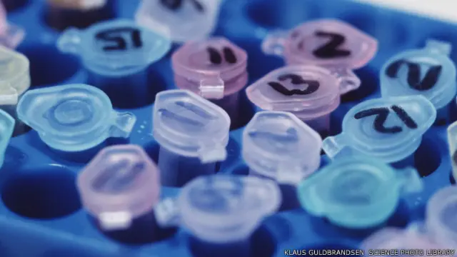 Pencangkokan sel batang sudah dilakukan lagi, dengan metoda baru dan pemantauan ketat.