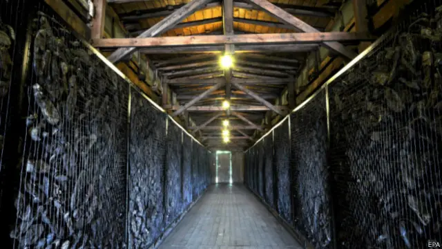 Экспозиция в Майданеке