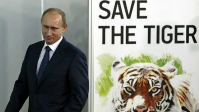 ولسمشر پوتین درې پړانګان په بېدیا کې خوشي کړي وو.