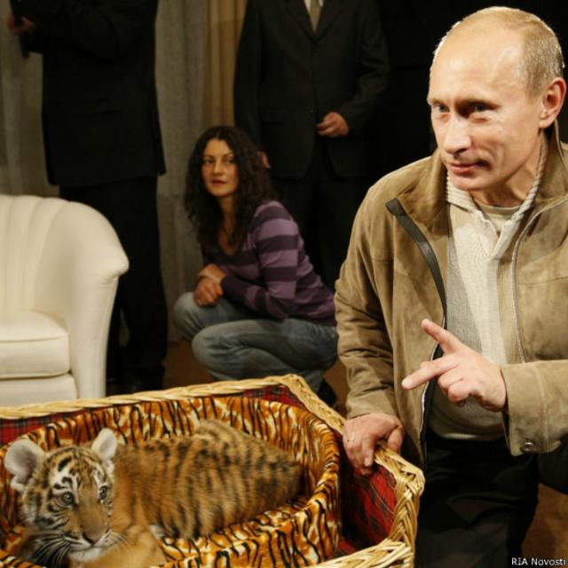 Тигренок и Путин