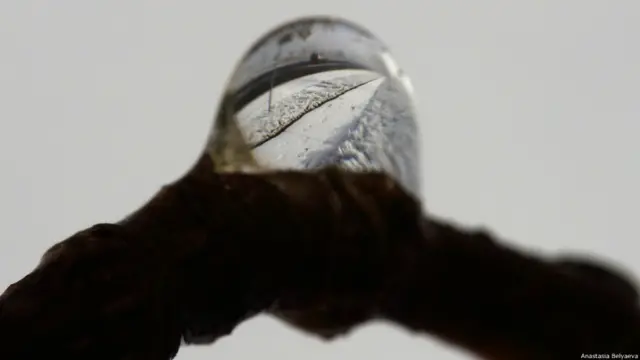 Анастасия Беляева прислала снимок первого снега, отраженного в капле воды.