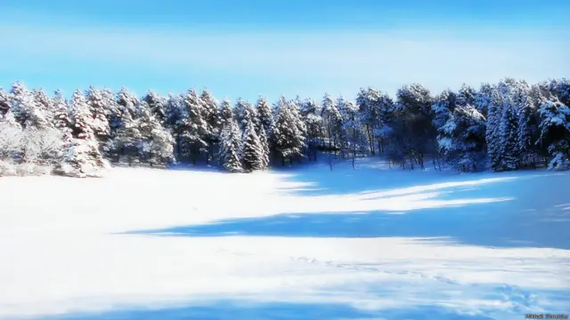 "В горных курортных городах, где в основном тепло, каждый снег - первый! - пишет автор снимка Михаил Шнейдер. - Одно из таких мест - Кисловодск. Снег выпадает ночью, днем может бесследно исчезнуть, поэтому фото лучше делать с утра... "