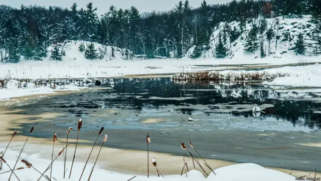 Фото Миши Корсакова.