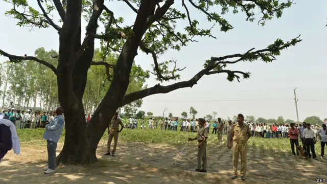 Árbol del que aparecieron colgadas las jóvenes