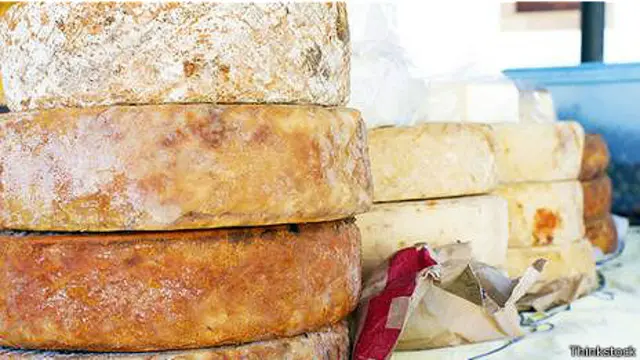 Сыры, полные бактерий