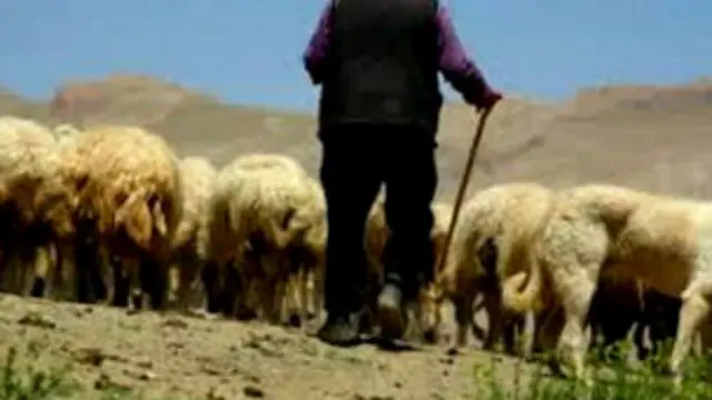 باید امیدوار بود یک روزی بیاید که در هیچ جای دنیا کلمه های «ملّت» و «مردم» را به معنای مجازی «گلّه» یا «رمه» به کار نبرند.