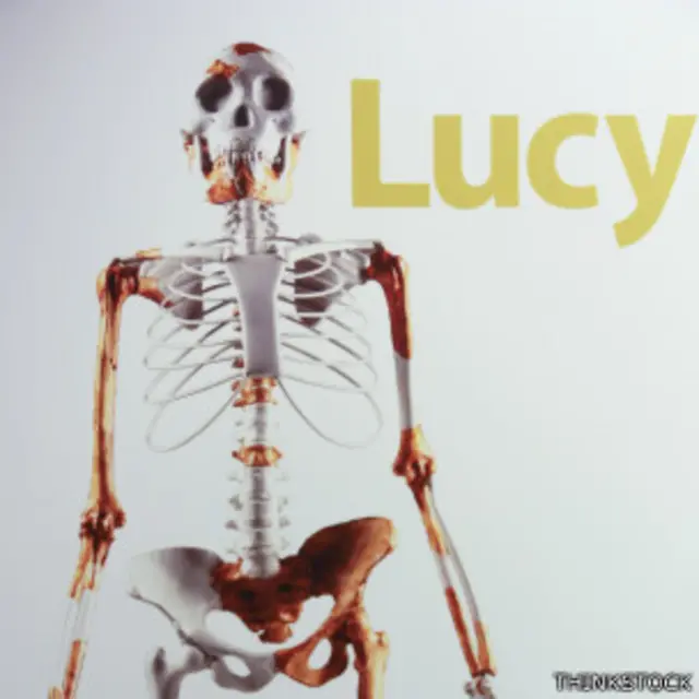 Lucy 