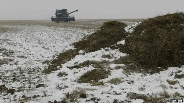 در قزاقستان شمالی در اکتبر برف می بارد