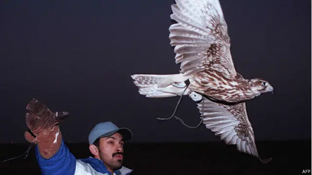 شکار صرف باز سے کیا جاسکتا ہے اسلحے سے نہیں 