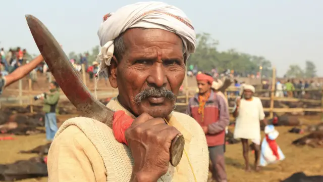 جانوروں کی اجتماعی قربانی کا آغاز ایک سفید چوہے، سؤر، کبوتر، بطخ، مرغی اور ایک بھینس کی قربانی سے ہوتا ہے۔ 