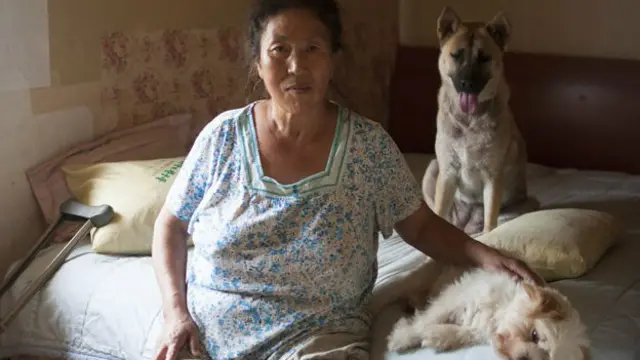 جنسی صحت مراکز کا مقصد خواتین کی صحت کا خیال رکھنا تھا نہ کہ جسم فروشی میں اعانت کرنا: حکومت 