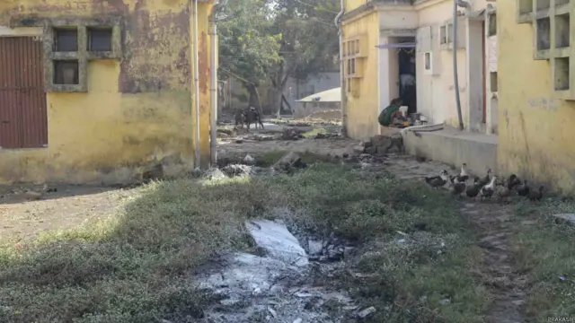 विधवा कॉलनी, भोपाल, गैस त्रासदी