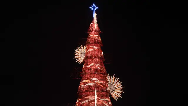 لاگوا جھیل میں موجود اس کرسمس درخت کا وزن 542 ٹن ہے۔