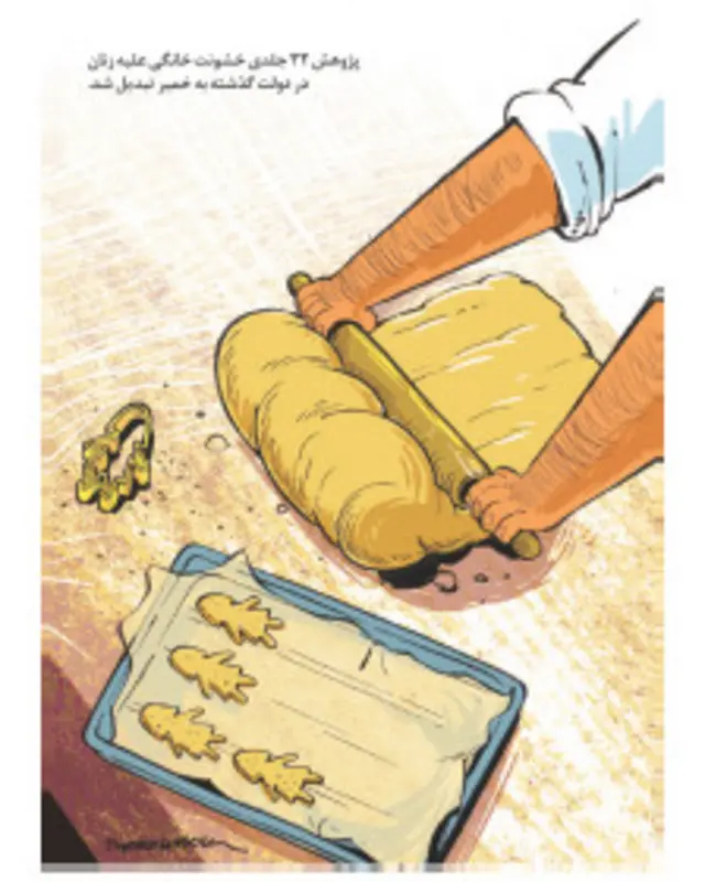 کارتون سلمان طاهری، شهروند