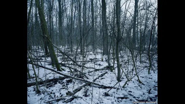Vebranden-Molen, West Vlaandern 2013