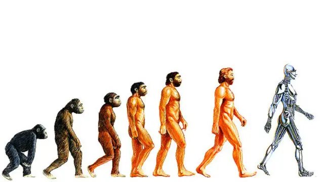 کمر کی درد انسانوں کی صحت کا ایک عام مسئلہ ہے