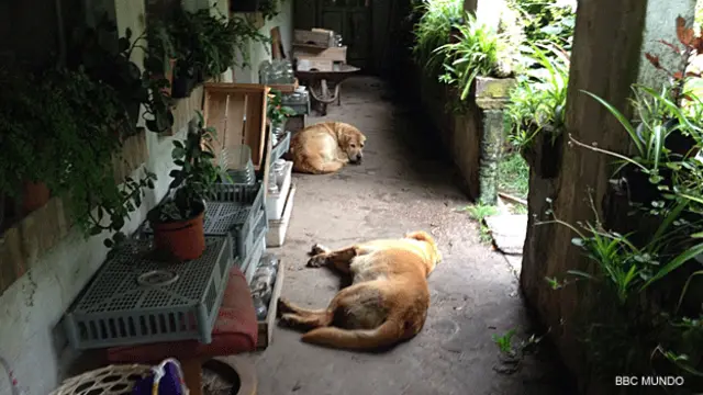 Casa de Mujica | Foto: BBC