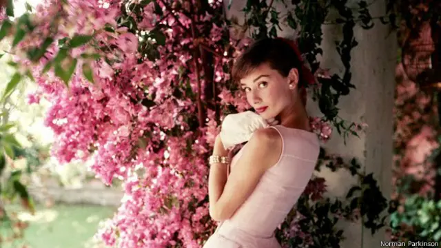 audrey hepburn