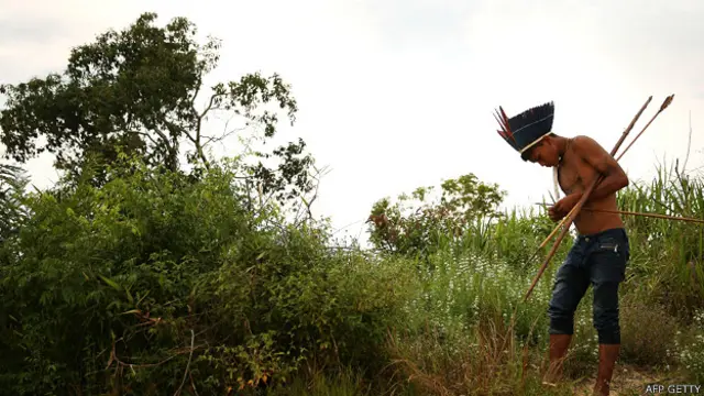 Amazonía brasileña