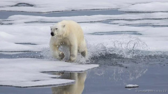 Fundo da discussão é sobre o verdadeiro impacto das mudanças climáticas no planeta