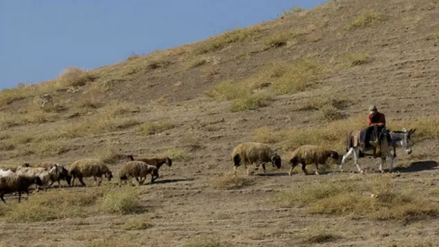 都因人：叙利亚沙漠旷野中的游牧部落