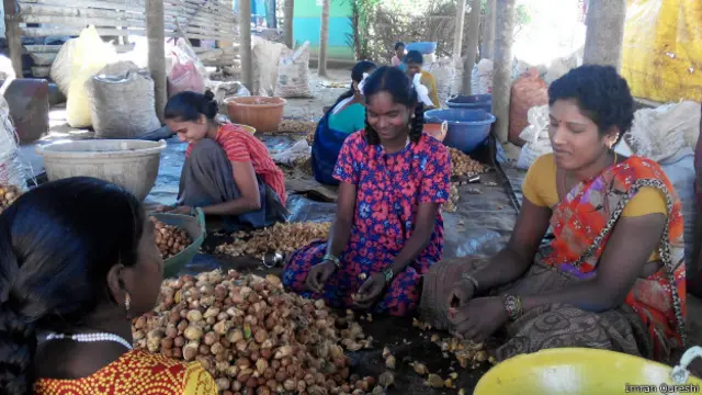 मत्तूरु गाँव में सुपारी की सफ़ाई करती महिलाएँ