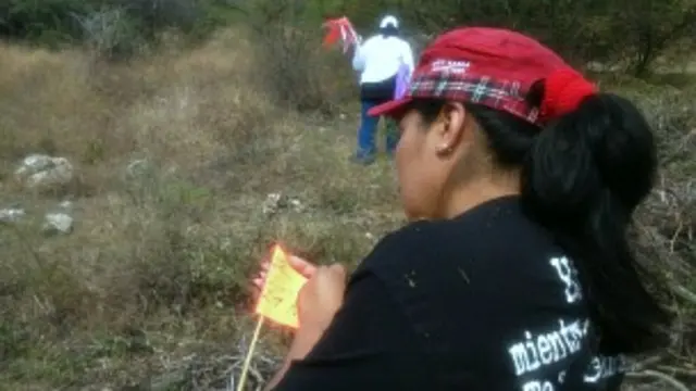 Las posible fosas son marcadas con banderines amarillos.