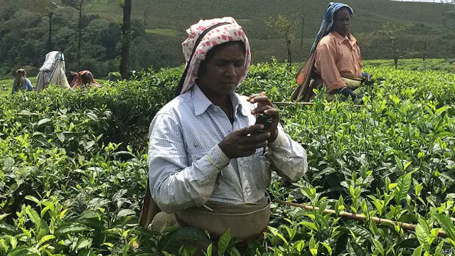 भारत मोबाइल फ़ोन