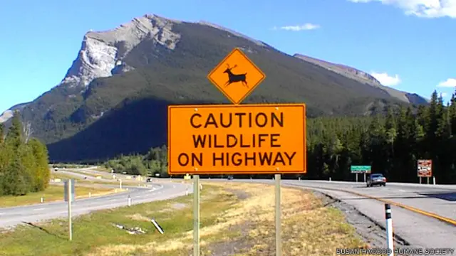 Cartel que advierte sobre el cruce de animales el Parque Nacional Banff