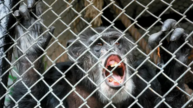 ٹامی کی عمر 40 سال ہے اور وہ تفریح کے شعبے میں کام کر چکا ہے