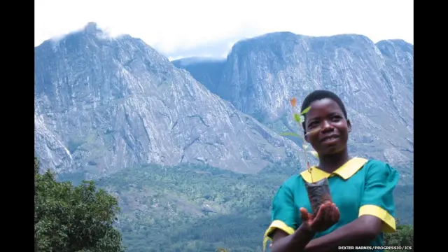 На волонтерах світ тримається