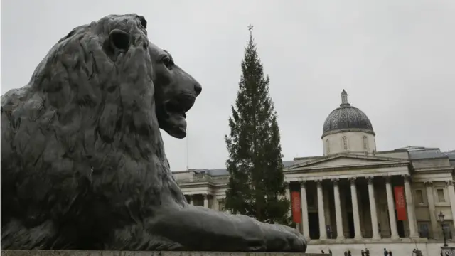 按照傳統，挪威每年都送一棵聖誕樹給倫敦，以示對大戰期間所提供的協助的真誠感謝。